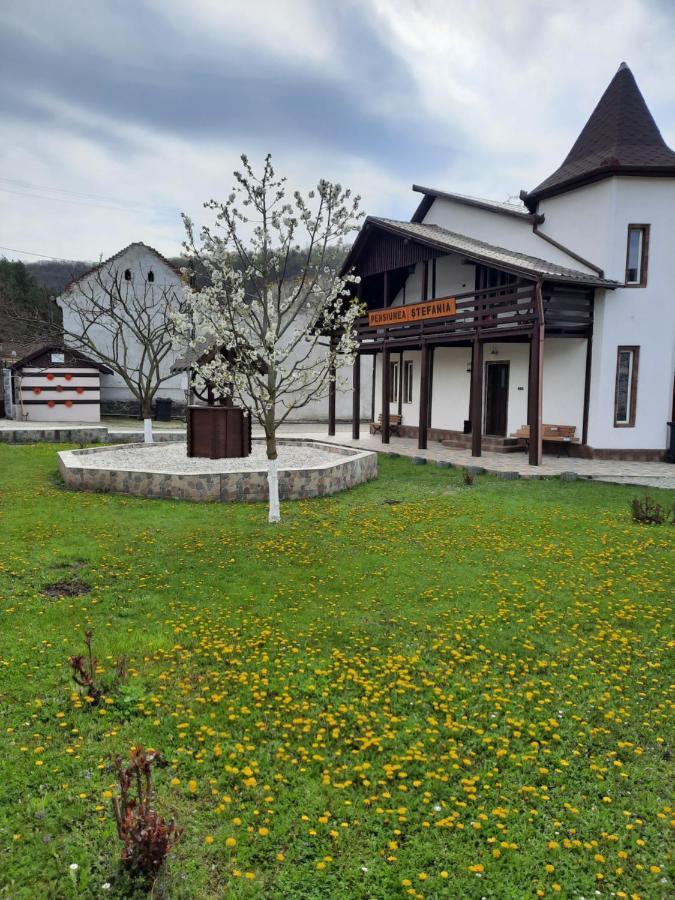 Pensiune Ștefania Hunedoara Exterior foto