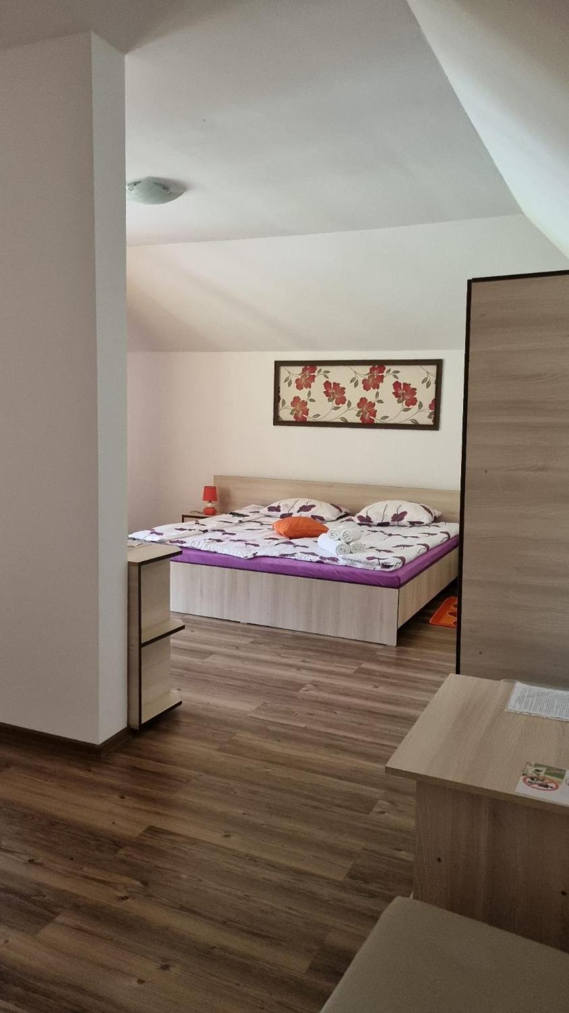 Pensiune Ștefania Hunedoara Exterior foto